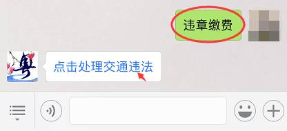 广东省车辆违章查询,广东省车辆违章查询官网查询