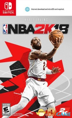 为什么nba2k有内存这么大(Switch内存吃紧《NBA 2K18》必须要SD卡才能玩)