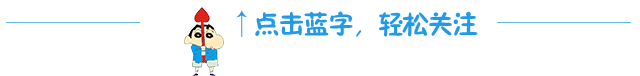 文县一中十佳优秀女教师风采录