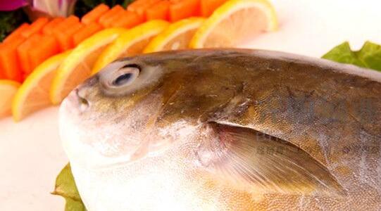 金鲳鱼是淡水鱼还是海鱼 金鲳鱼是深海鱼吗