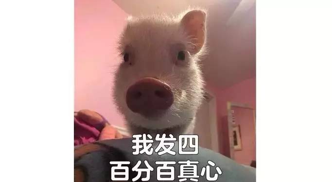 广东省车辆违章查询,广东省车辆违章查询官网查询