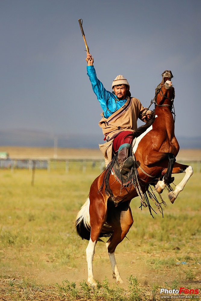 马背上的民族 草原骏马拍摄技巧