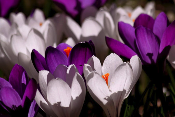 请人帮忙点赞怎么说好简短的 求朋友圈帮忙点赞话语句子