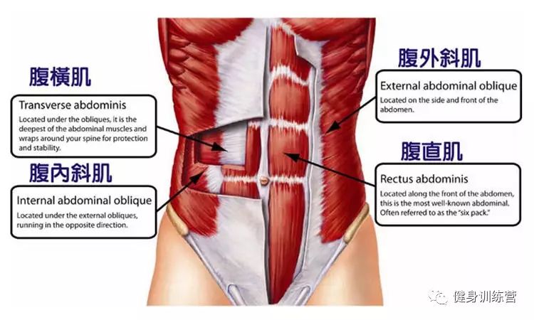 20個虐腹動作：無腹肌不男神