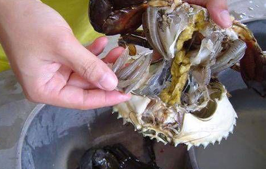 如何清洗螃蟹内脏 清洗螃蟹的三大步骤