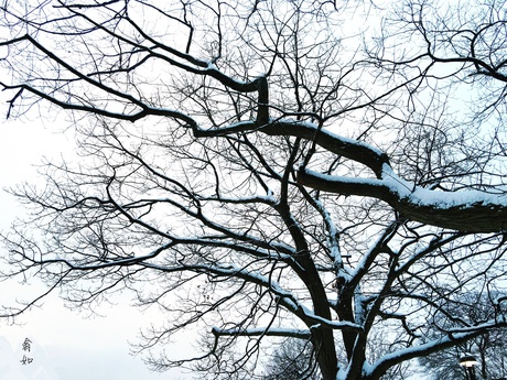 广播精选｜梦见参加高考，教育局做活动