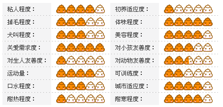 宠物犬价格及性格大分析图《三》