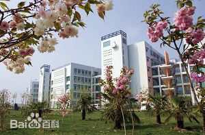 河南最好的十所专科大学，郑州占了四所！