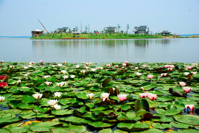 浮龙湖,位于山东省菏泽市单县境内,是明朝黄河决口冲击而形成的平原