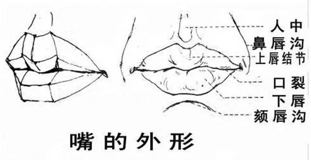 相当标准的唇模，原来还有5个标准？