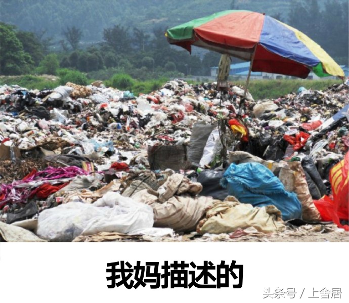 神奇了我的房间！竟然有四种形态！