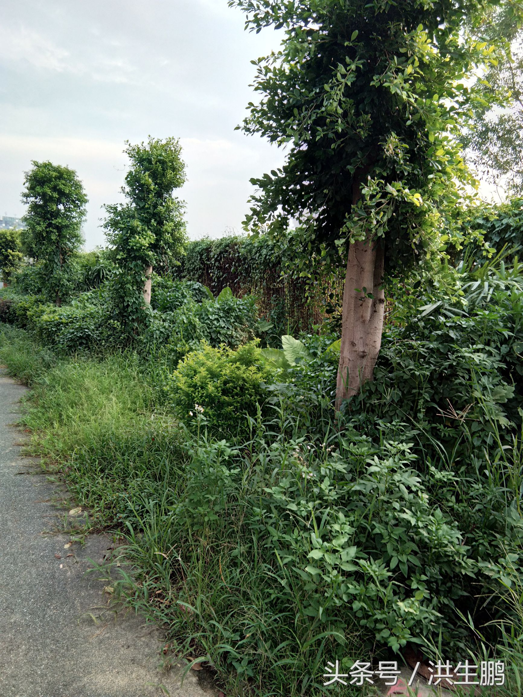 花了3.8万元产品经理培训，我学到了什么