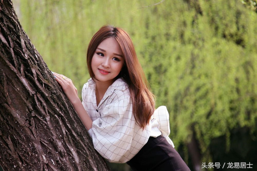 龙易居士教你自学命理基础知识(天干地支篇)-甲木