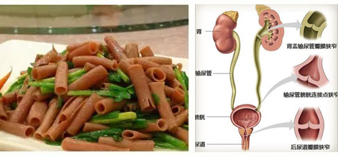 科普：舌尖上的泌尿外科