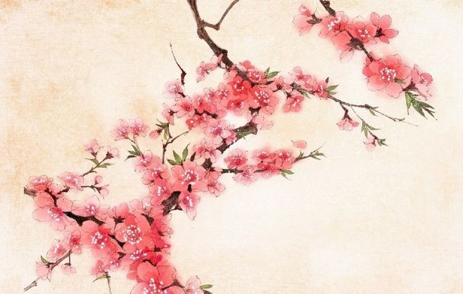 人命犯桃花好还是不好?