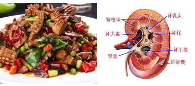 科普：舌尖上的泌尿外科