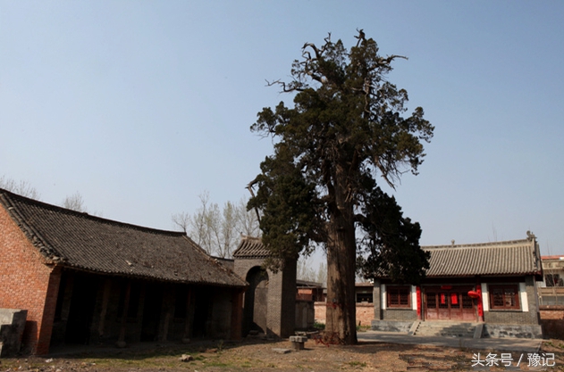 河南十余所名不见经传的中小学，竟然都深藏着价值不菲的珍贵文物