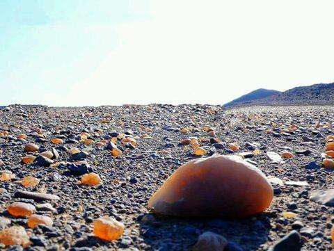 如果你在新疆罗布泊无人区捡到这些石头，你就是百万富翁了