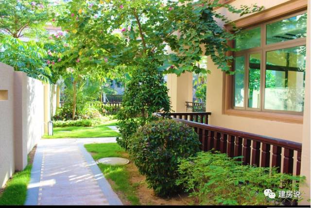 那么农村庭院种什么果树风水好哪些果树能镇宅招财一农村庭院种什么