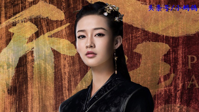 特工皇妃楚乔传之《风雨将至》