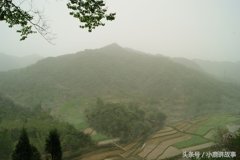 故事：葬对了锦鲤献瑞之地，自家没有发家致富，别家倒青云直上