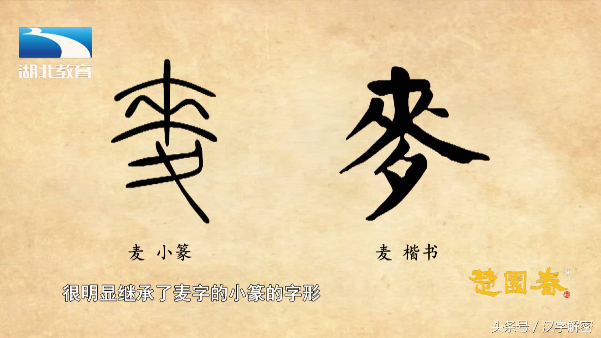 的來字形簡寫成了三橫一豎麥字的金文和小篆都基本繼承了甲骨文的字形