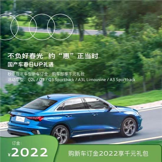  奥迪Q2L纯电动送保险 免18800元购置税