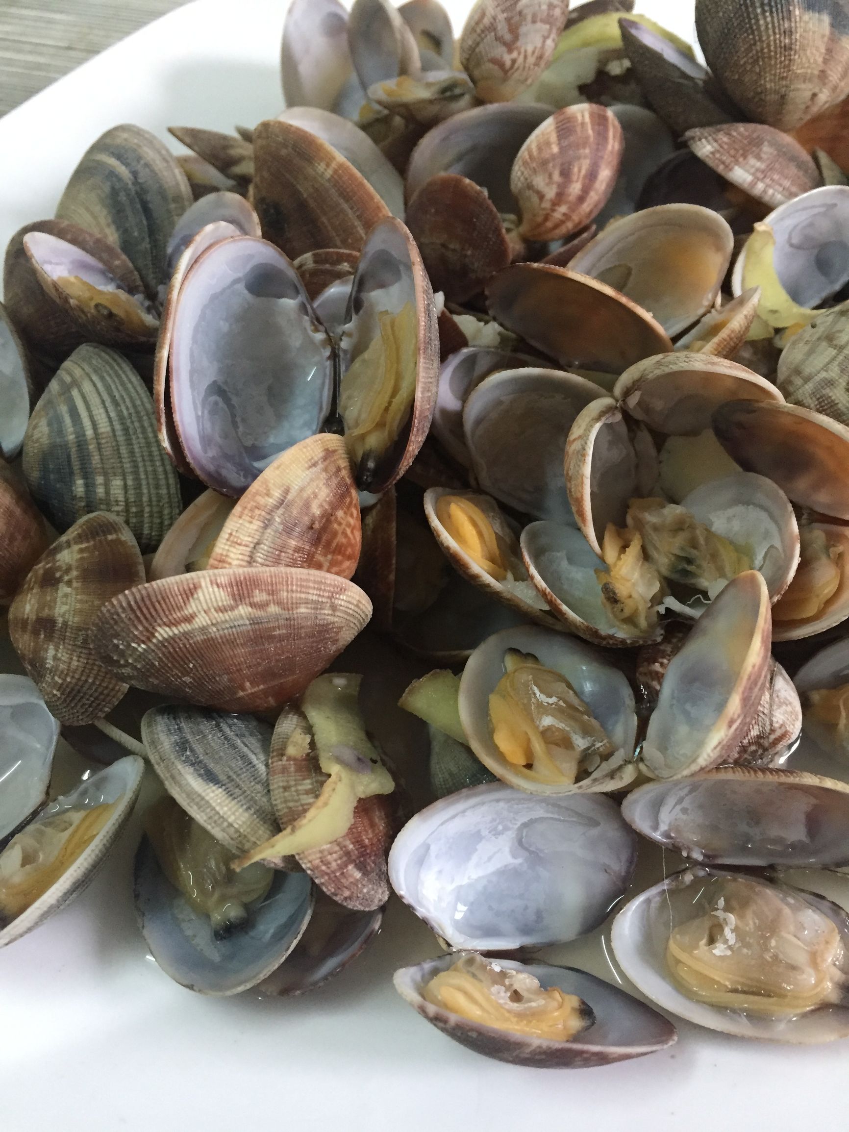 花甲壳的工艺品图片(花蛤的壳别扔) - 赤虎壹号