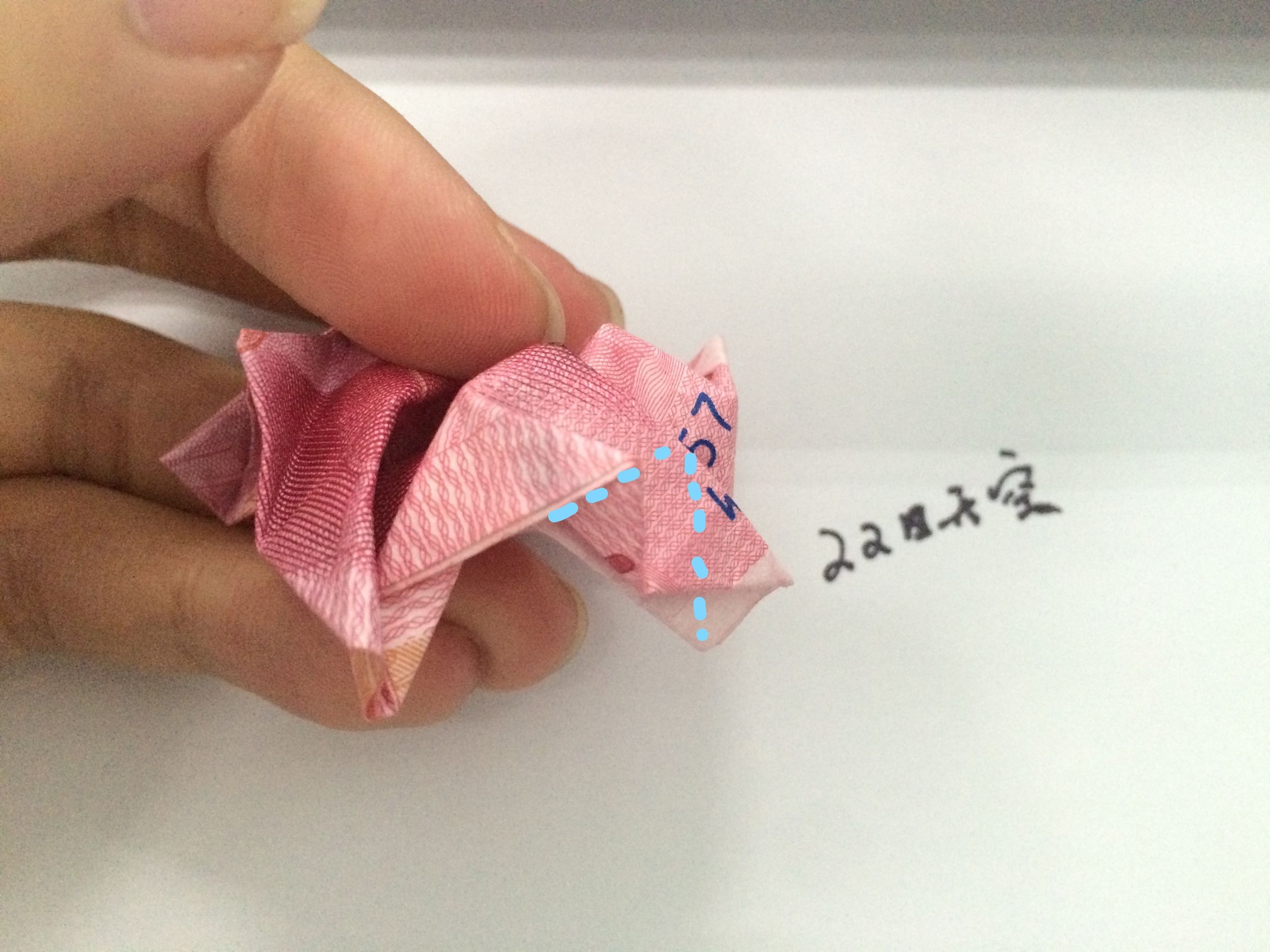 用钱折玫瑰花步骤图解100元人民币折玫瑰简单折法教程