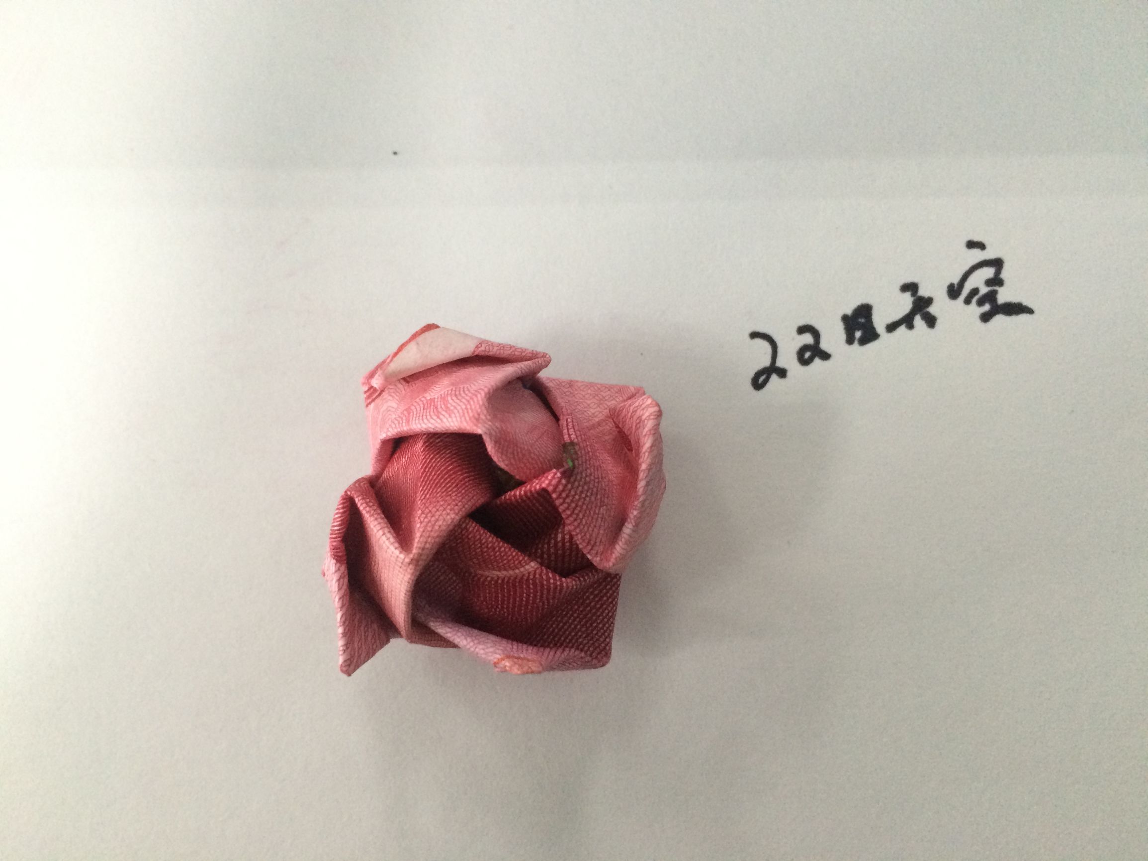 用钱折玫瑰花步骤图解100元人民币折玫瑰简单折法教程