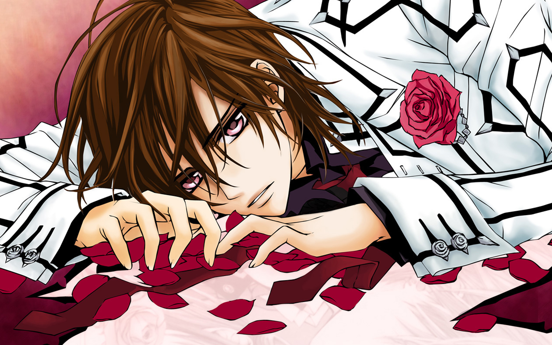 入了《吸血鬼骑士》的坑,这些吸血鬼不要太妖孽