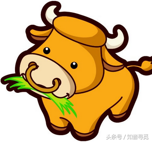 属牛的本月运势 生肖牛10月运势查询2021_达一风水网