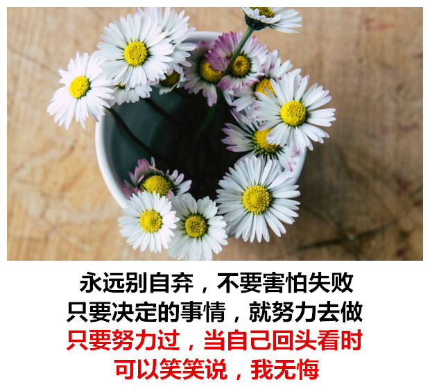 傀儡的唯美句子_晶羽科技