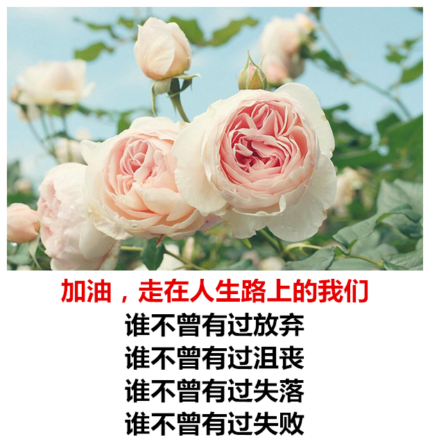 男人再帅,扛不起责任,照样是废物(鸡汤美文)人生就要活得漂亮,活出点