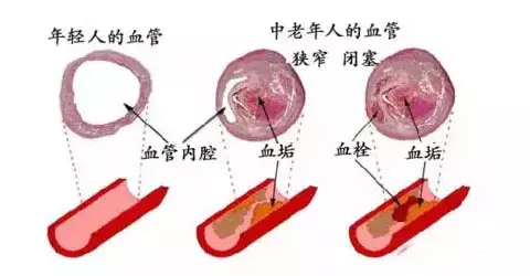 不花一分钱，看手就能知道身体哪里出了问题！一试一个准！