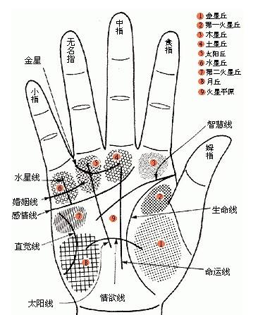 从手相看你桃花运旺不旺