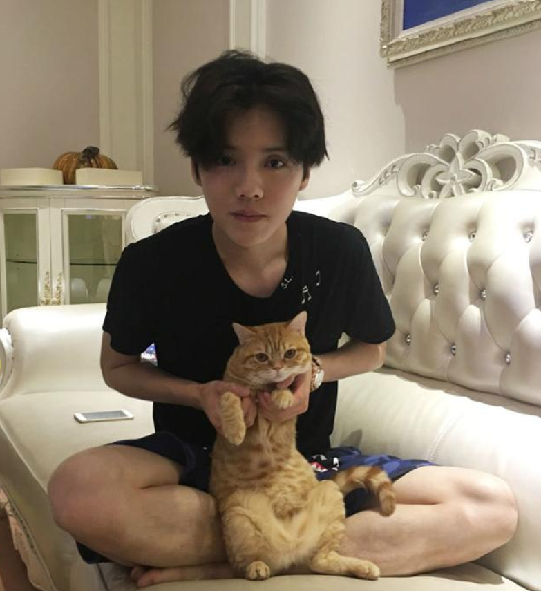 千万片酬的鹿晗,他的豪宅是什么样的呢,装修效果令人高攀不起