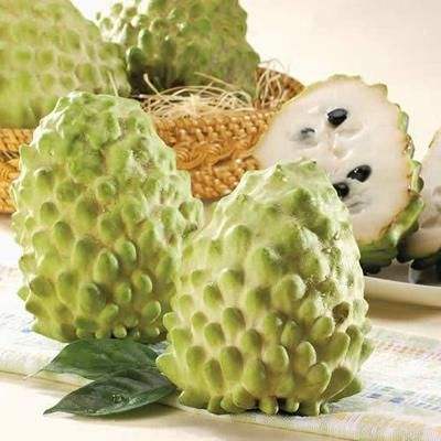 釋迦果的功效與禁忌,釋迦果的功效與禁忌糖尿病能吃嗎?