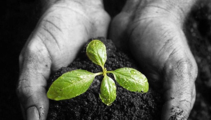 靠一份PPT拿融资的时代已经过去了，这年头没点儿产品怎么行？