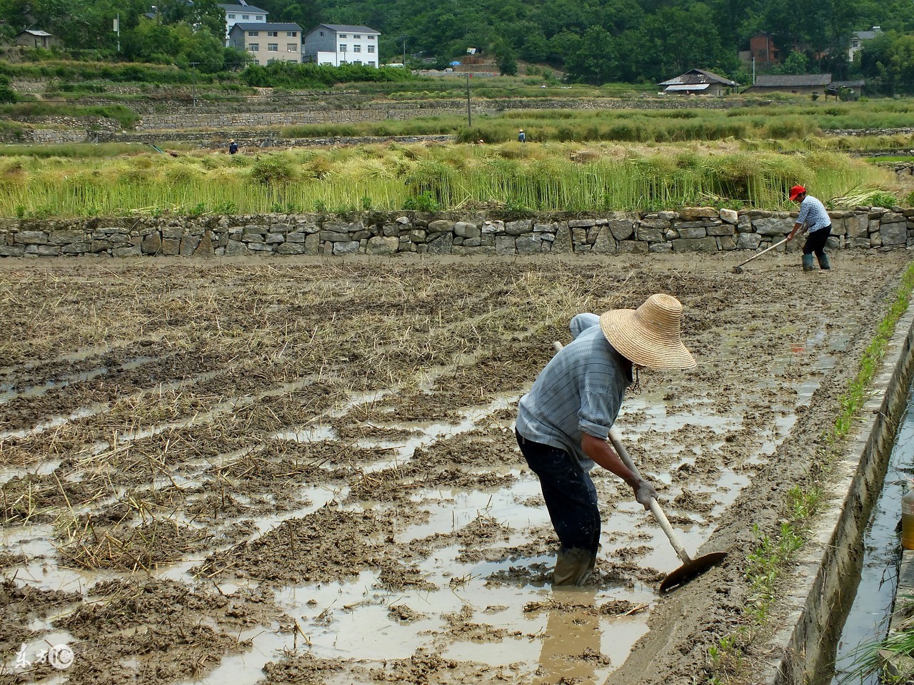 最新农村征地补偿征收补贴政策，专家告诉你一亩地补贴多少钱？