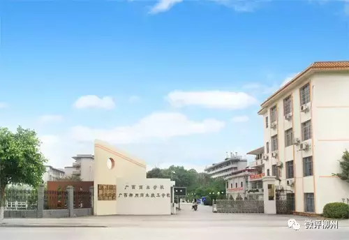 检阅柳州职业教育最强战队！你支持哪个？