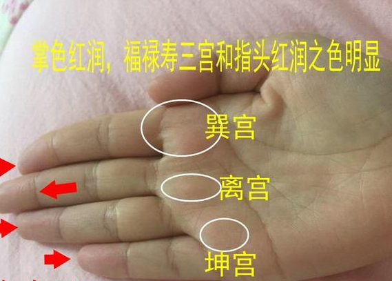 女性手相中这2个位置“一凸一凹”，食禄自来，可富可贵