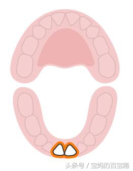 婴儿的出牙顺序图（宝宝什么时候出什么牙）