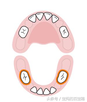 宝宝什么时候出什么牙？宝宝长牙顺序图：可对比出牙是否标准
