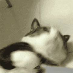 买菜南北不同，会计凭证装订方法居然也不同！