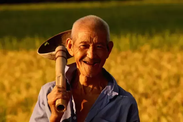 写作积累｜描写人物喜悦神态的好词好句好段