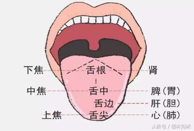 孩子内热重、上火、总积食？秋季调理掌握三点，孩子少生病！