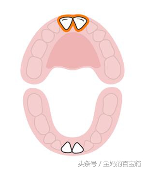宝宝什么时候出什么牙？宝宝长牙顺序图：可对比出牙是否标准