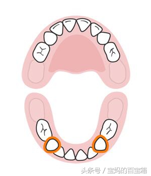 宝宝什么时候出什么牙？宝宝长牙顺序图：可对比出牙是否标准
