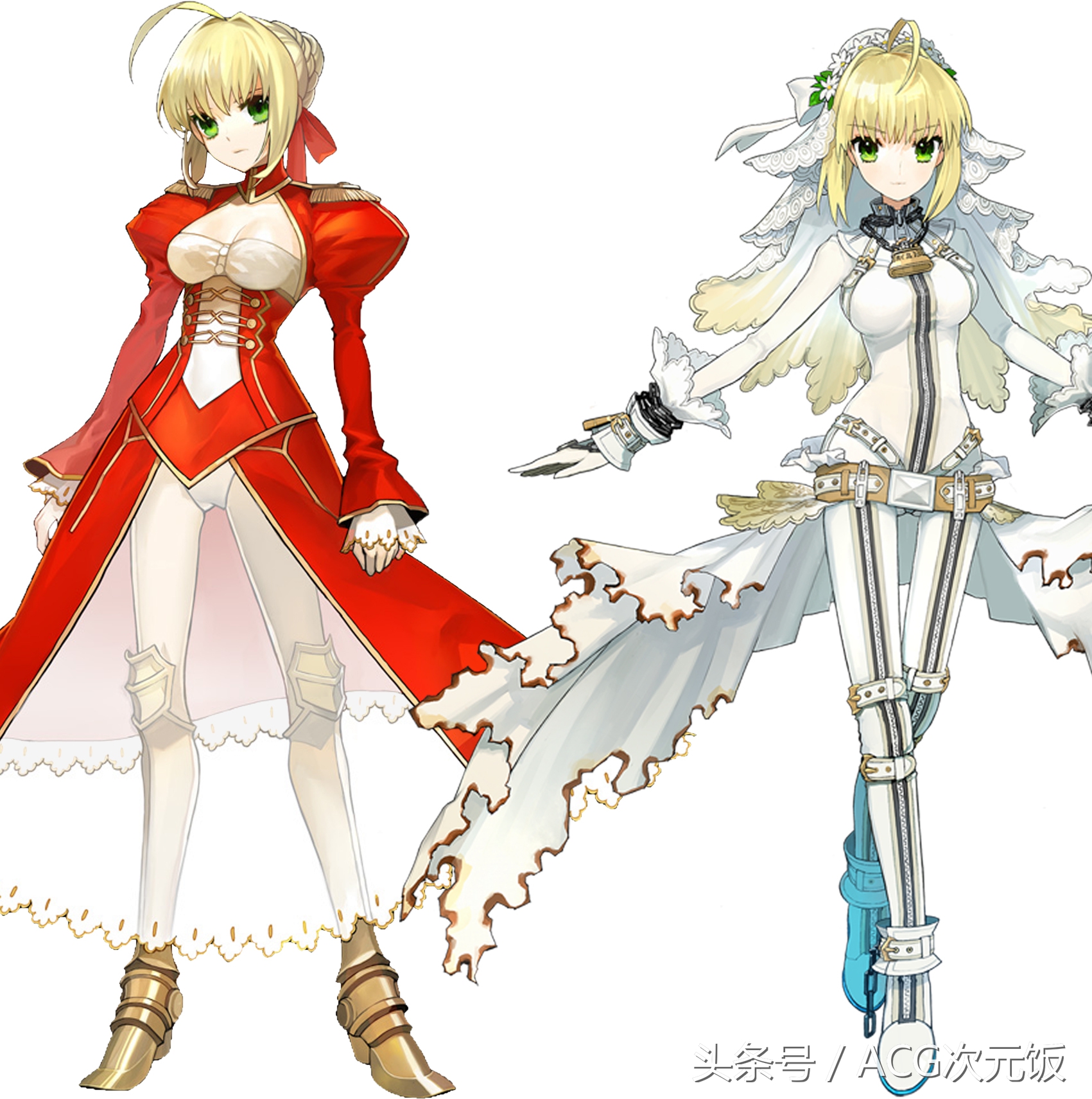 花嫁saber,花嫁saber参加婚礼